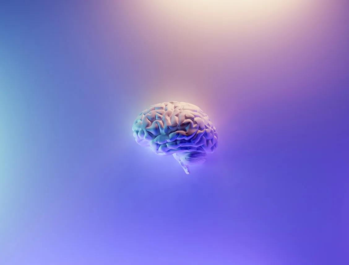 A brain representing relationship intelligence